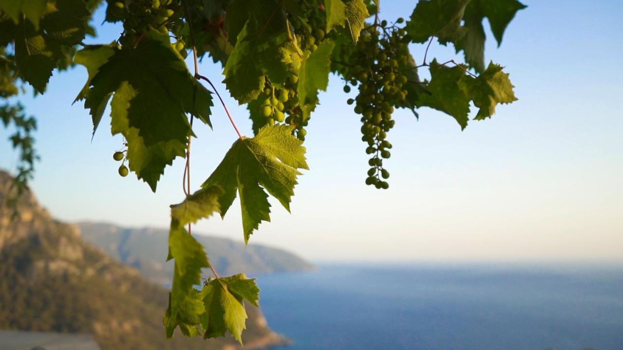 Kabak Mamma'S Pension Restaurant & Terrace Bar Fethiye Exterior foto